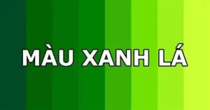 Màu sơn người mệnh mộc - Màu xanh lá 
