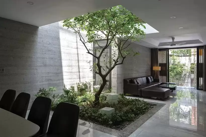 Kết Hợp Màu Sơn Người Mệnh Mộc Với Vật Liệu Nội Thất