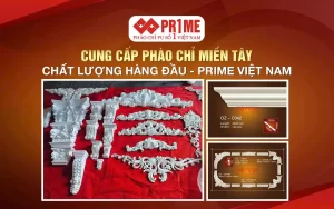 Cung cấp phào chỉ miền Tây chất lượng hàng đầu - Prime Việt Nam